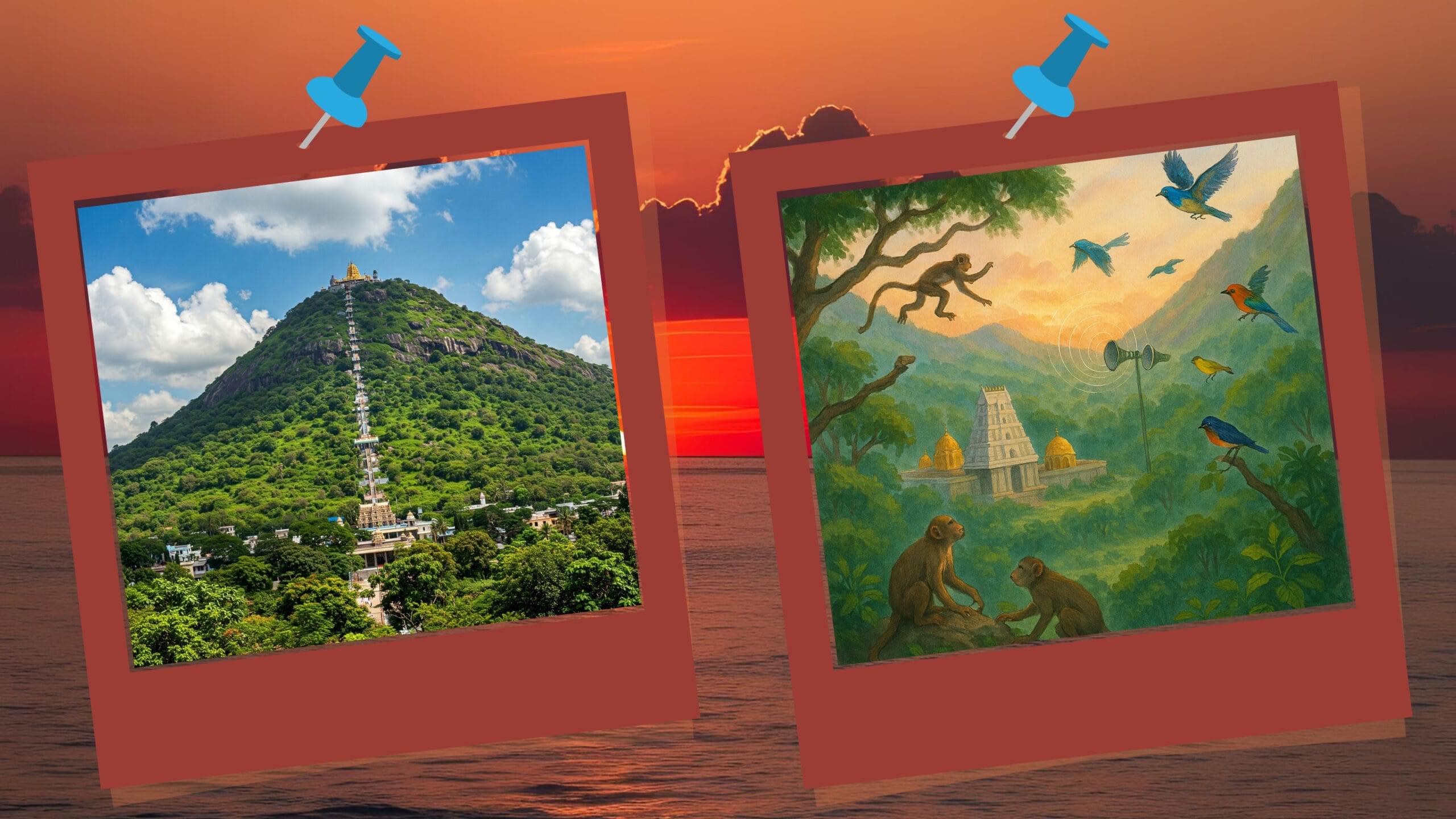 Venkateswara Swamy Katha in Telugu-33